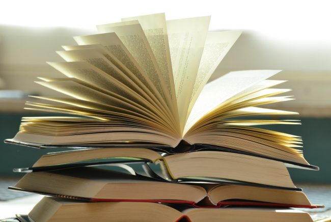 books-book-pages-read-literature-159866